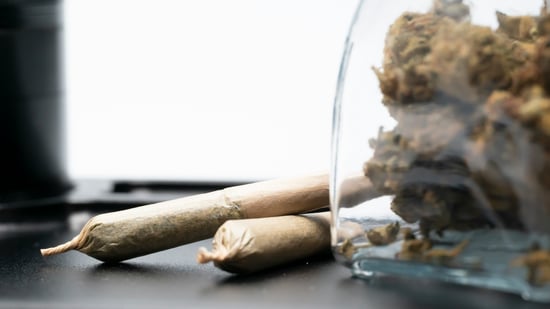 Micro-Cannabis Pioneer Sues Albert Lea
