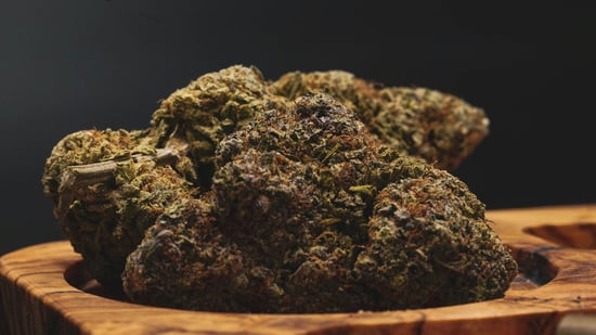 Girard Mayor To Attend Marijuana Dispensary Opening