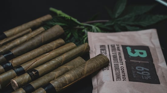 Police Uncover Massive Marijuana Stash
