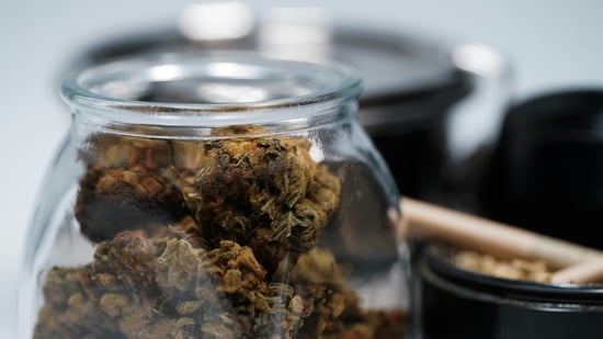 Retail Bulls Pile Into Cannabis Stocks On Reports Trump May Reclassify Marijuana; Traders Eye Aurora Rally