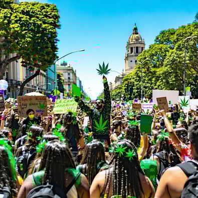 Mexico City Cheers for Free Cannabis!