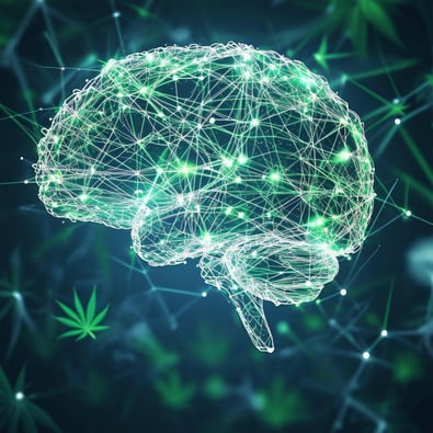 Cannabis Worsens Brain Connectivity Deficits in Psychosis Risk
