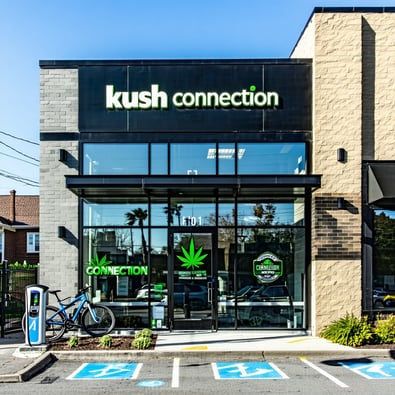 Montclair Dispensary Triumphs: Kush Connection
