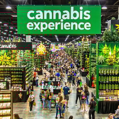 Massive Cannabis Experience at CA State Fair!