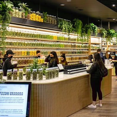 New Tax Hike Imperils California Marijuana Market