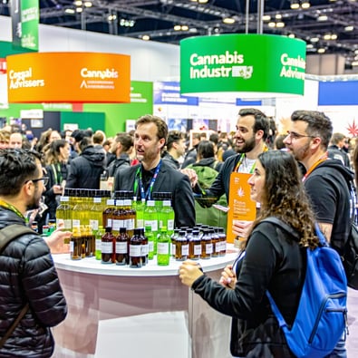 Key Legal and Financial Challenges for Cannabis Startups in 2025