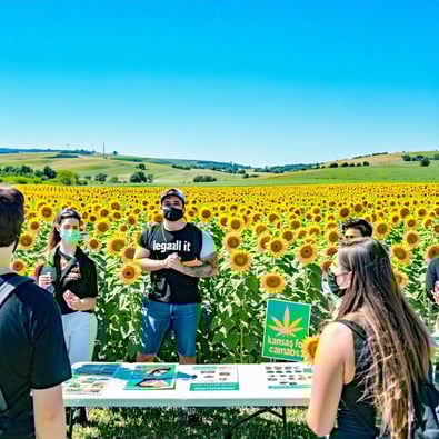 Why legalizing weed in Kansas isn’t working