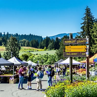 Humboldt Price Spike: Cannabis Raises Inflation Rate