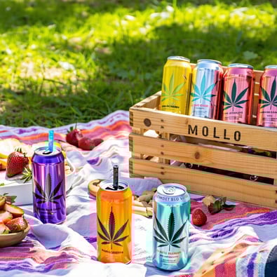 Transform Your Summer with Tilray Brands