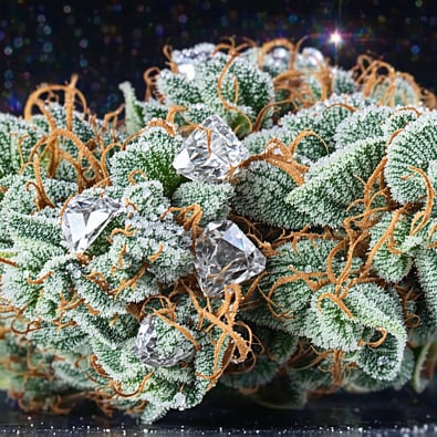 Snow Caps THCA Flower – Extra Frosty Exotic Cannabis