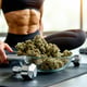 Belgian Study Links Cannabis to Fitness Boost