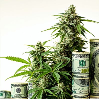 Marijuana Legalization Lowers Drug Spending