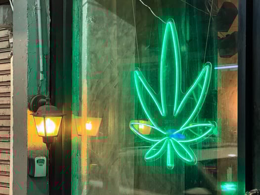 Trump Effect Spurs Immediate US Cannabis Investments