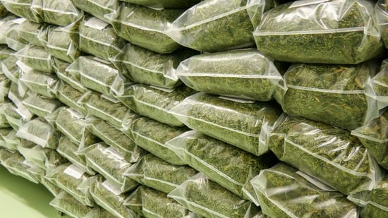 Jasper County: 418 Pounds of Marijuana Seized