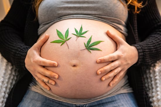 MSU Research: 1 In 6 Pregnant Women In MI Use Cannabis