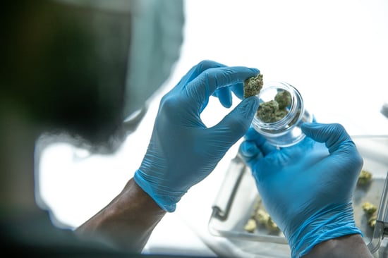 Medical Cannabis for Omaha Boy: Act Now to Help