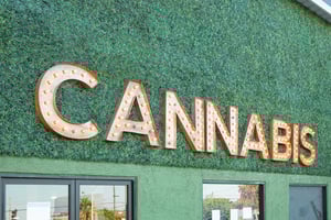 Black Market Cannabis Turns Legal: Shop Approved Now