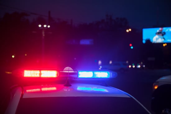 Two Arrested After Illegal Marijuana Bust In O'Brien