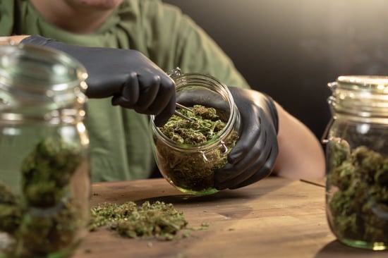 Alternate Cannabis Business Granted Second Chance Now