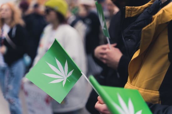 Cannabis Control Chair Resigns in Rhode Island