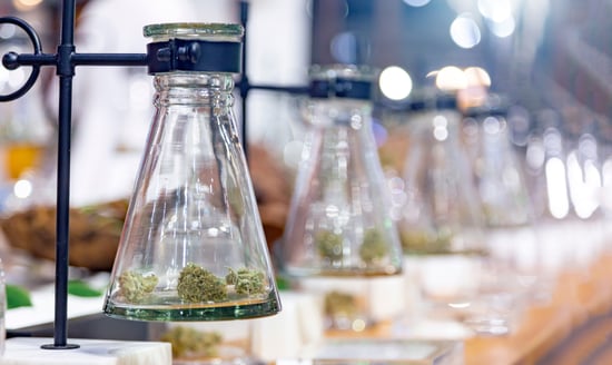 Cannabis-Free CBD: New Seizure Treatments