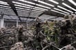7 Tips for Using High-Intensity LEDs for Seedlings and Mature Plants