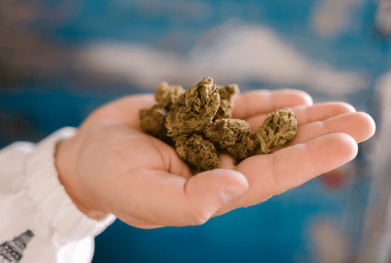 High hopes for a Recreational Cannabis market after Democratic election win