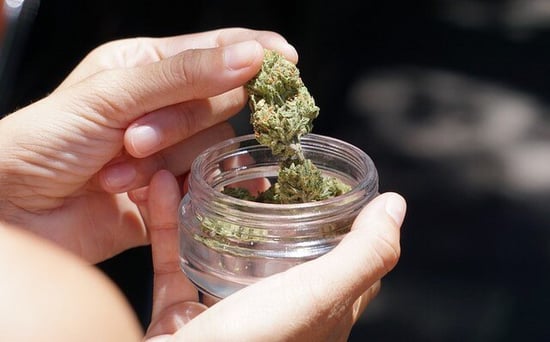 New licenses for Medical Marijuana could be coming in Florida