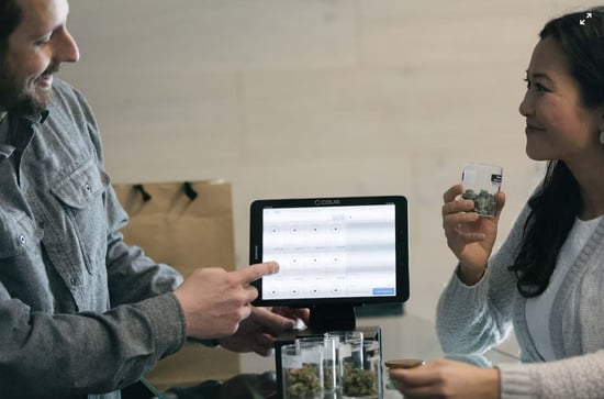 Pot companies are in trouble. Survival tips here!