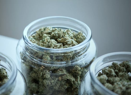 Thousands of pounds of Marijuana sitting in storage across New York state
