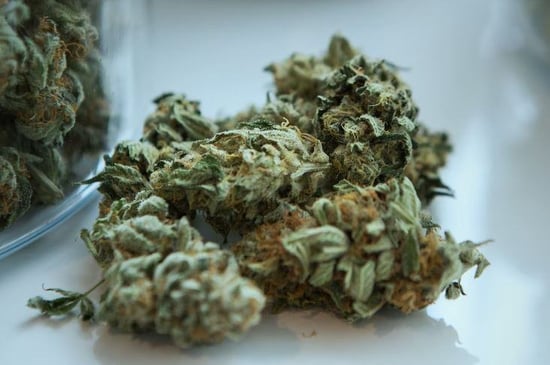 Vermont's Cannabis marketplace has been open for a year and is generating millions