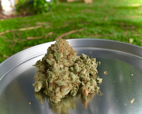 Young Adults Use Cannabis for Sleep—See the Twist