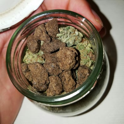 UNLV Students Expose Underrated Cannabis Impacts