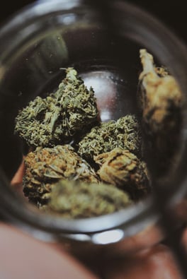 Marijuana Licenses: Get the Buzz - Oct 2025