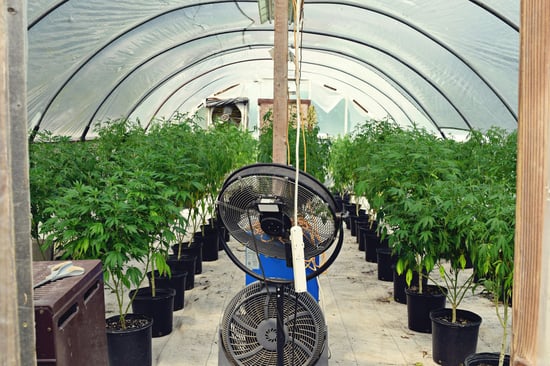 Plainfield Cannabis Cultivator Subdividing Space Now!