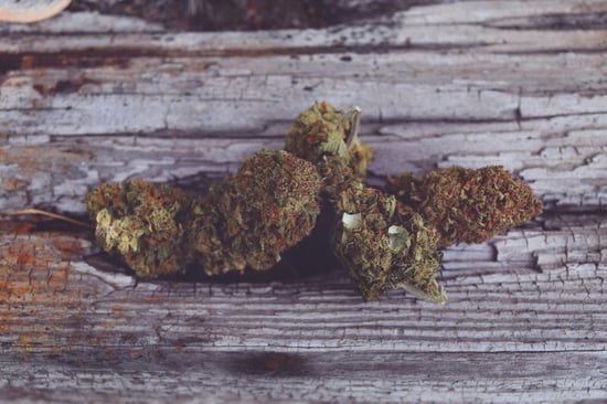 Cannabis Tariffs: Culture, Risk & Survival Impact
