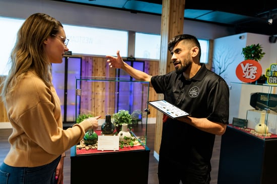 13 MN Cities Eyeing Cannabis Stores!