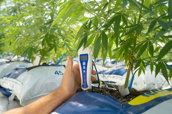 Flora Growth Invests $401M in AI Tech Now