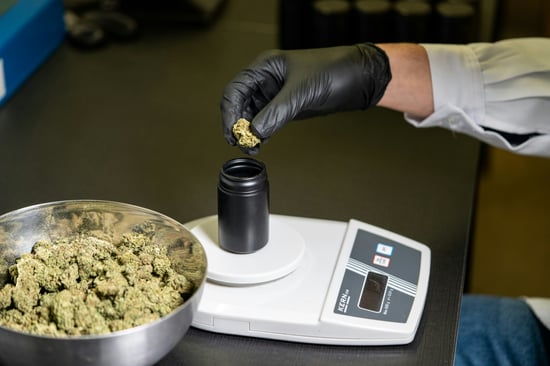 Top Priority: Oversight Of Medicinal Cannabis Scarce