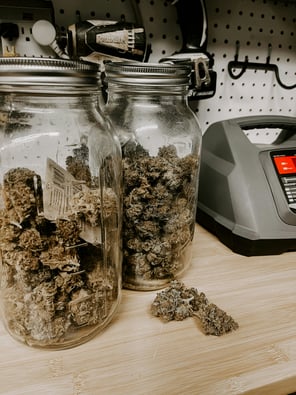 Bronx Drug Bust: $5M Illegal Cannabis Seized, 11 Arrested