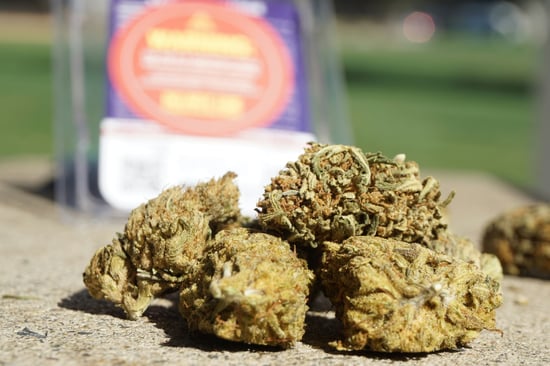 Fake Weed Flyers Flood UDel Campus - Stay Sharp!