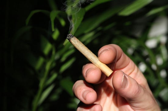 Australian Medical Association President on Cannabis Telehealth