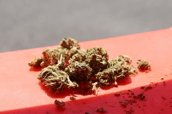 Grand Opening: Boutique Craft Cannabis in Sleepy Hollow