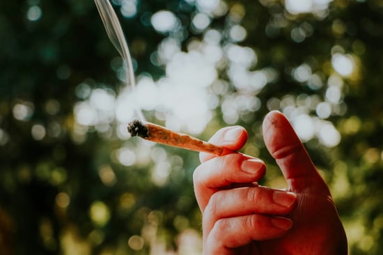 Canada Goes Green: Cannabis Craze!