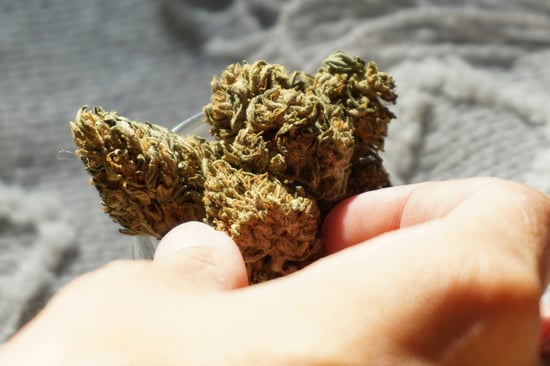 Top Cannabis Advocate Shuts Down for Bigger Fight!