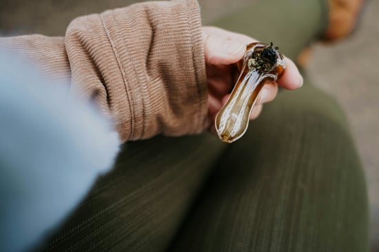 Coach Kim Caldwell Dismisses Ruby Whitehorn ASAP