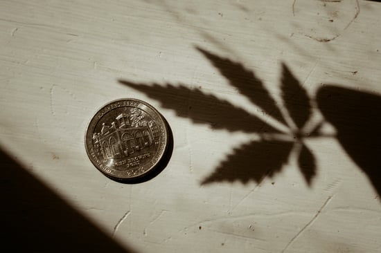 Ohio Cities Eye $122M from Cannabis Tax Funds