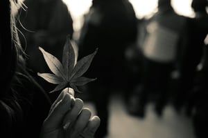 Marijuana Advocate Fights New Michigan Cannabis Tax