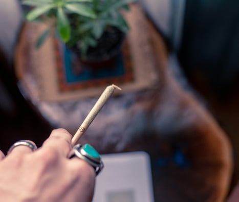Texas Medical Cannabis Program: 12 New Dispensaries