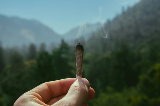 Early Cannabis Use Linked to Brain Coherence Issues